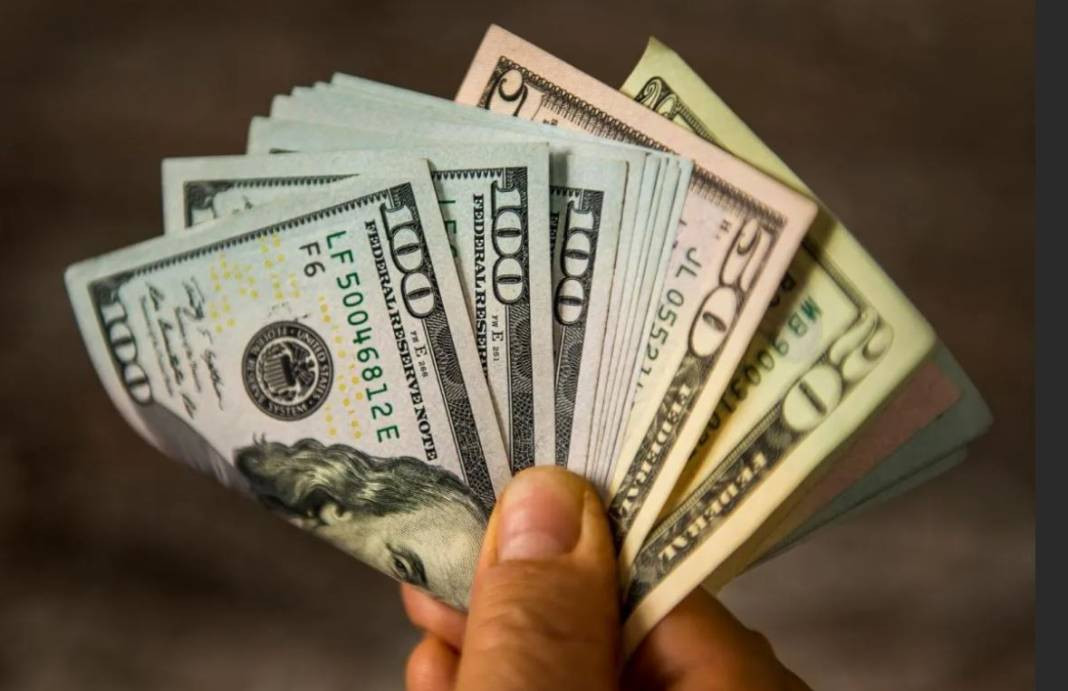 Ekonomist Özgür Demirtaş dolar 28 TL olmalı dedi. Ezber bozdu herkesi şaşırttı - Resim: 9